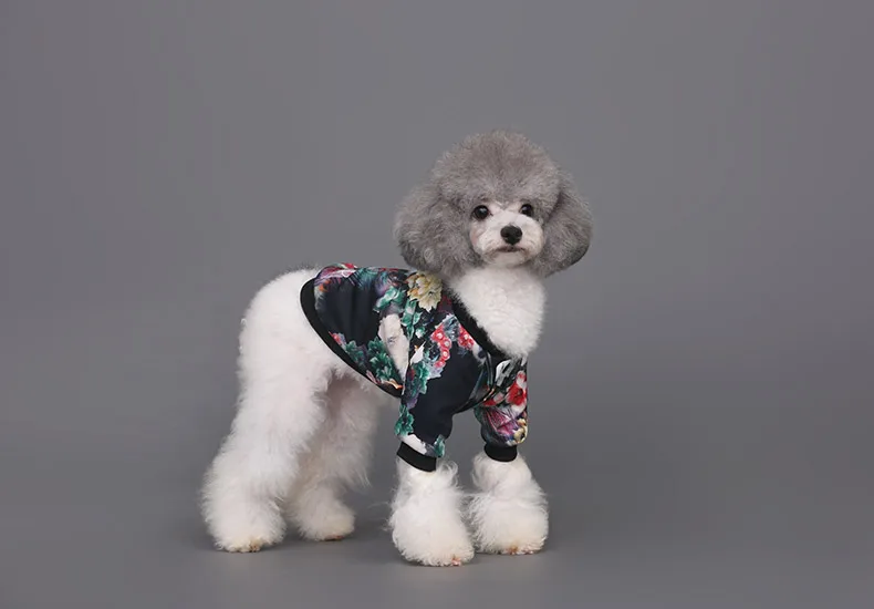 HOOPET одежда для домашних животных, собак Цвет Фул куртка с принтом Цвет печати для отдыха модный свитер теплый хорошую вентиляцию Ретро узор