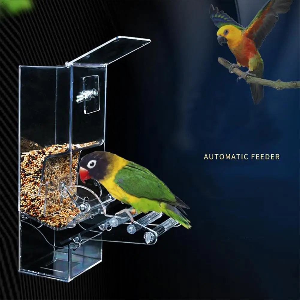 

Acrylic Automatic Bird Feeder Pet Feeding Device Seed Food Container Bird Cage Accessories For Parrot Parakeet Canary Dropship