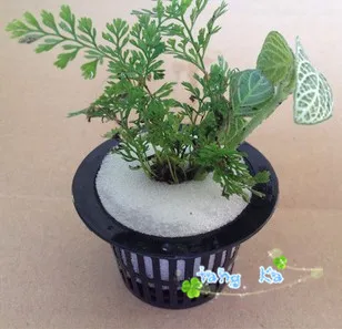 

10Pcs Nursery Pots Mesh Pot Net Cup Basket Hydroponic Aeroponic System Plant Grow Organic Green Vegetable Germinate Seeding Pot