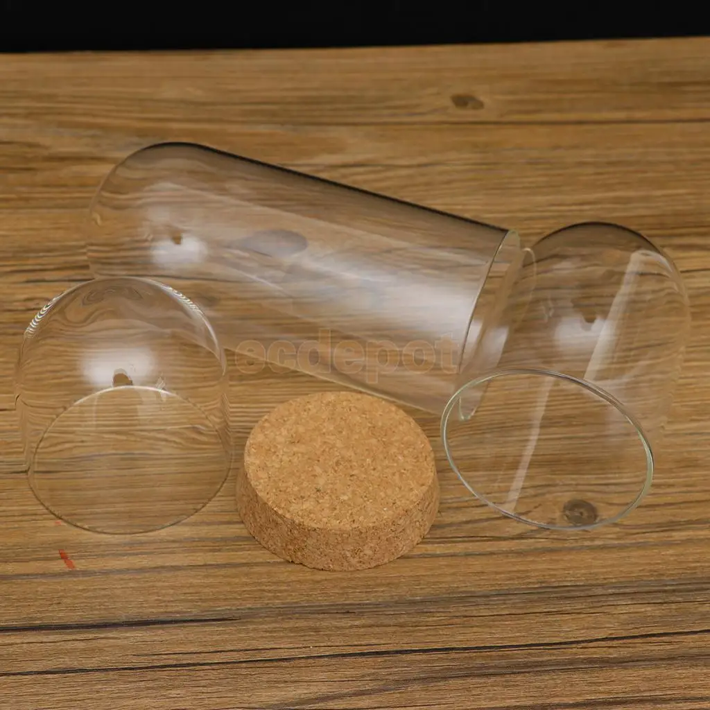 Glass Dome Cover Cloche Jar Succulent Terrariums Doll House Container with Wooden Cork