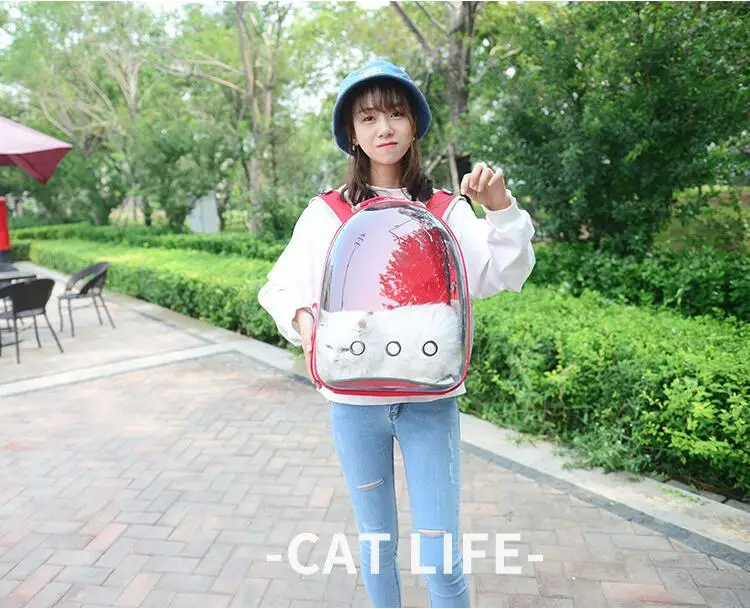 QQ20181130155250