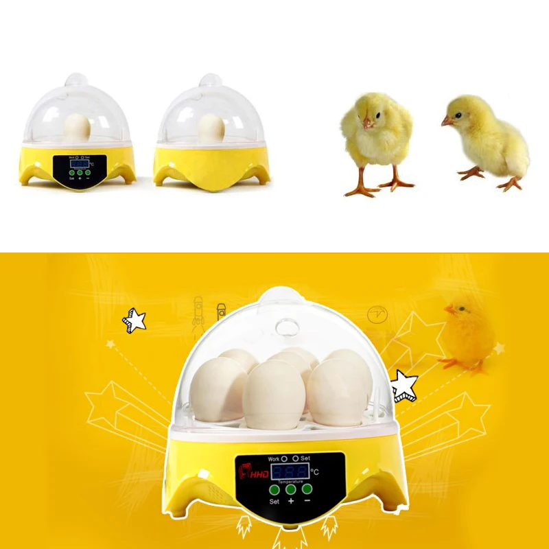 7 Eggs Incubator Chicken Duck Bird Poultry Digital Automatic Hatcher Hatching 7 Eggs Incubator Chicken Duck Bird Poultry Digital Automatic Hatcher Hatching