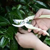 1PC Garden Scissors Bonsai Pruner Grafting Tool Fruit Tree Pruning Shears Pruners Garden Shears Gardening Secateurs Tree HOT ► Photo 1/6