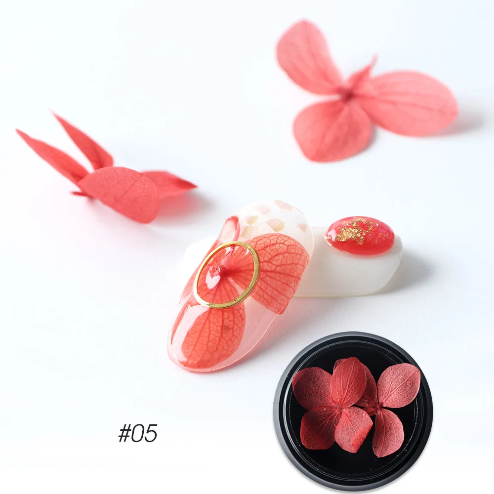 dried flowers C05