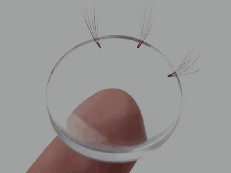 5_