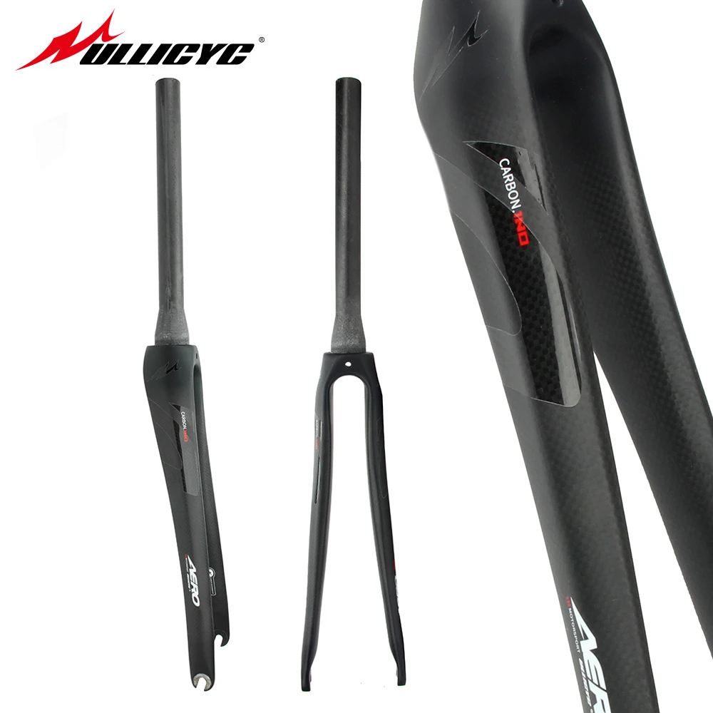 carbon front forks