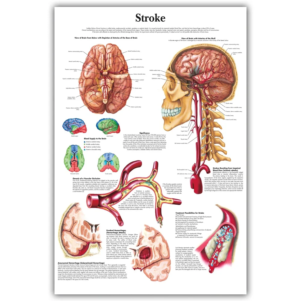 Human Meat Chart Poster