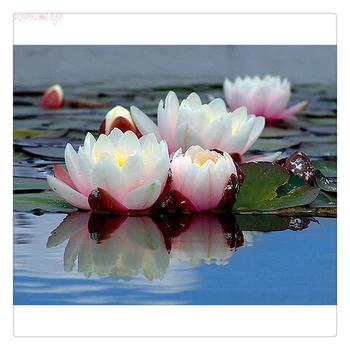 

Full 5D DIY Diamond Painting,Flower lotus,Cross Stitch,3D,Diamond Mosaic,Needlework,Crafts,Diamond Embroidery picture rns3034