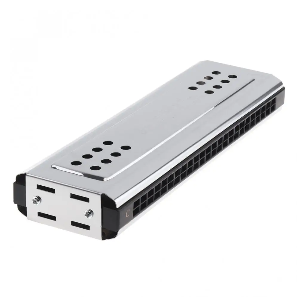 Professional 24 Holes Key Of C&G Silver Double-side Tremolo Harmonica for Adult Beginner and Children