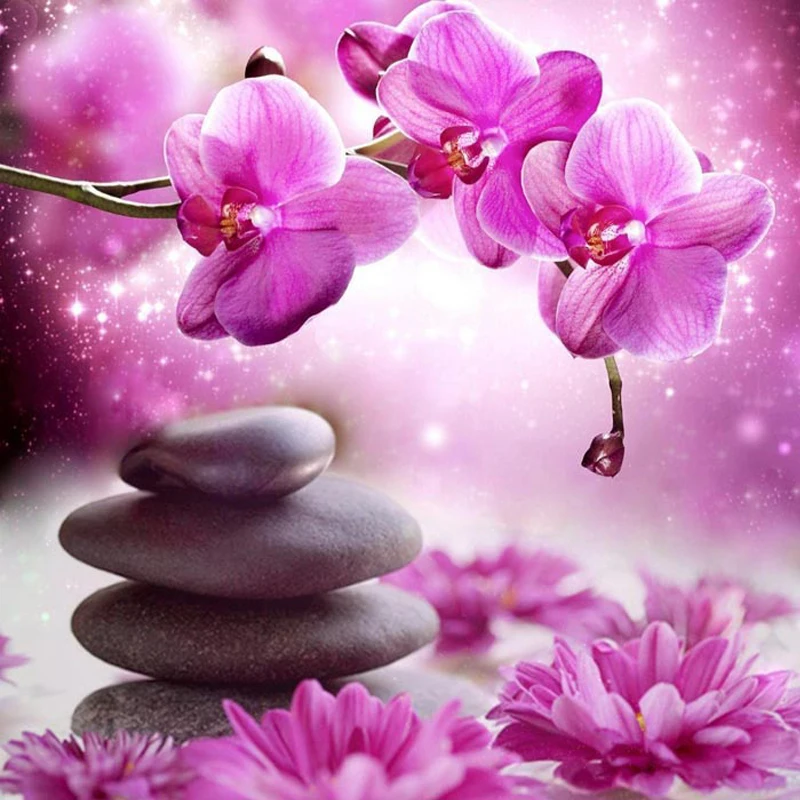 

5D Diy diamond Painting Cross Stitch kits FULL Diamond Embroidery Phalaenopsis flower Picture 3D diamond Mosaic still life gift