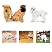 Собачий Туалет, тренировочный питомец, размораживание, спрей, безвредный индуктор, тренировка, размораживание, позиционирование щенка(несъедобный, 30 мл