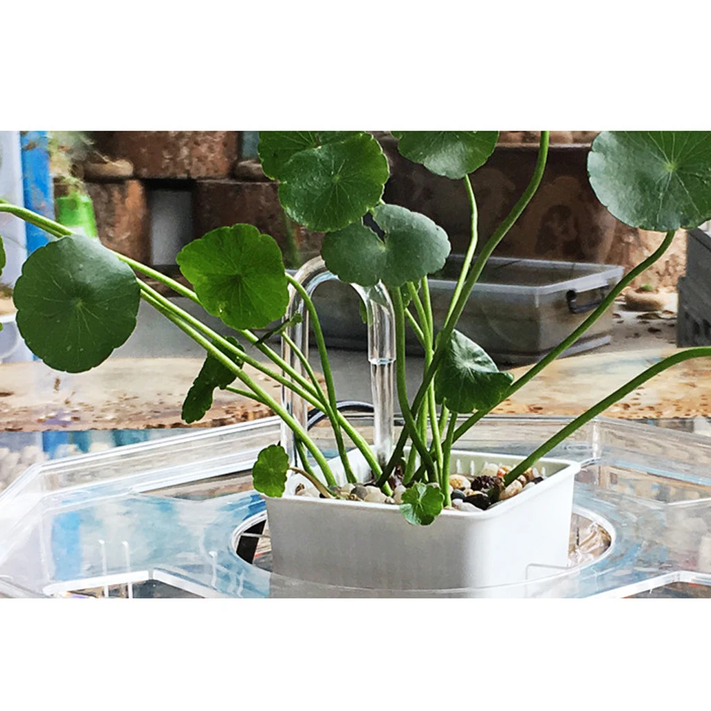 5 Pcs Transparent Acrylic Thickened Elbow Tube for Aquarium