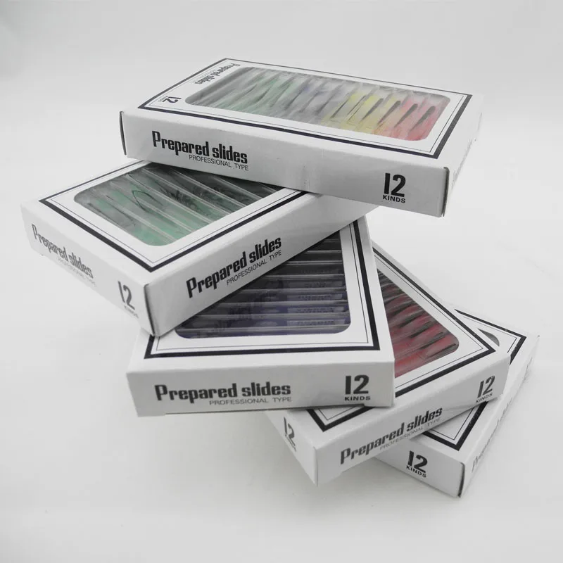 

12Pcs Microscope Plastic Prepared Slides Set For Student Basic Biology Education