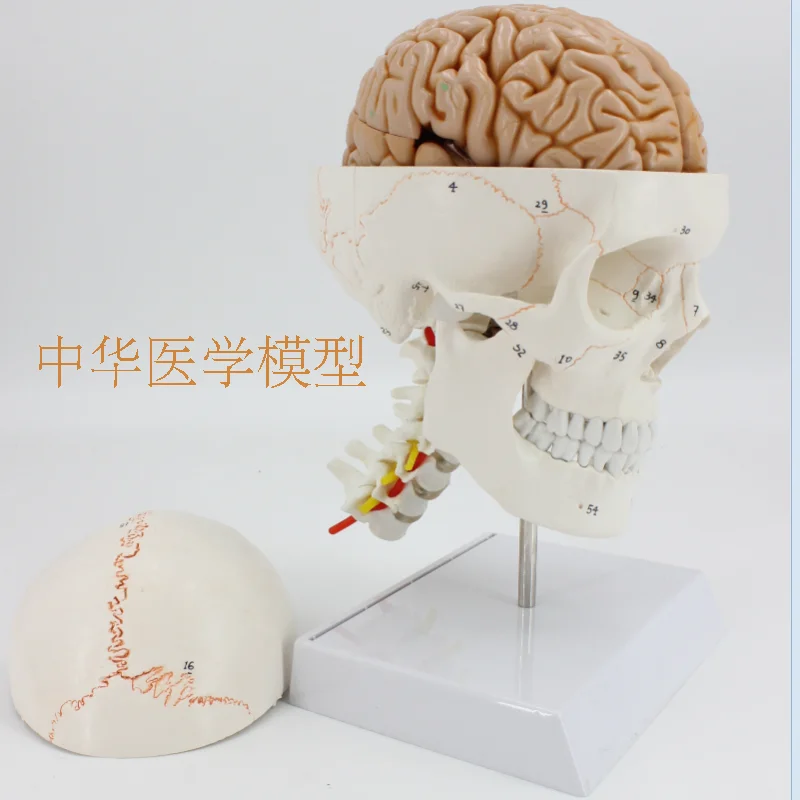 //img.alicdn.com/imgextra/i1/403496940/TB2GgO_arJkpuFjy1zcXXa5FFXa_!!403496940.png