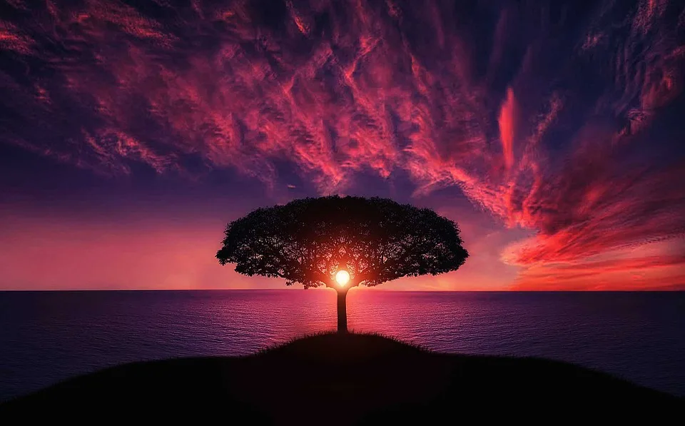 

new arrival 5d diamond painting full drill square Diamond "Tree and sun" Cross Stitch Rhinestone Mosaic Painting deco maison