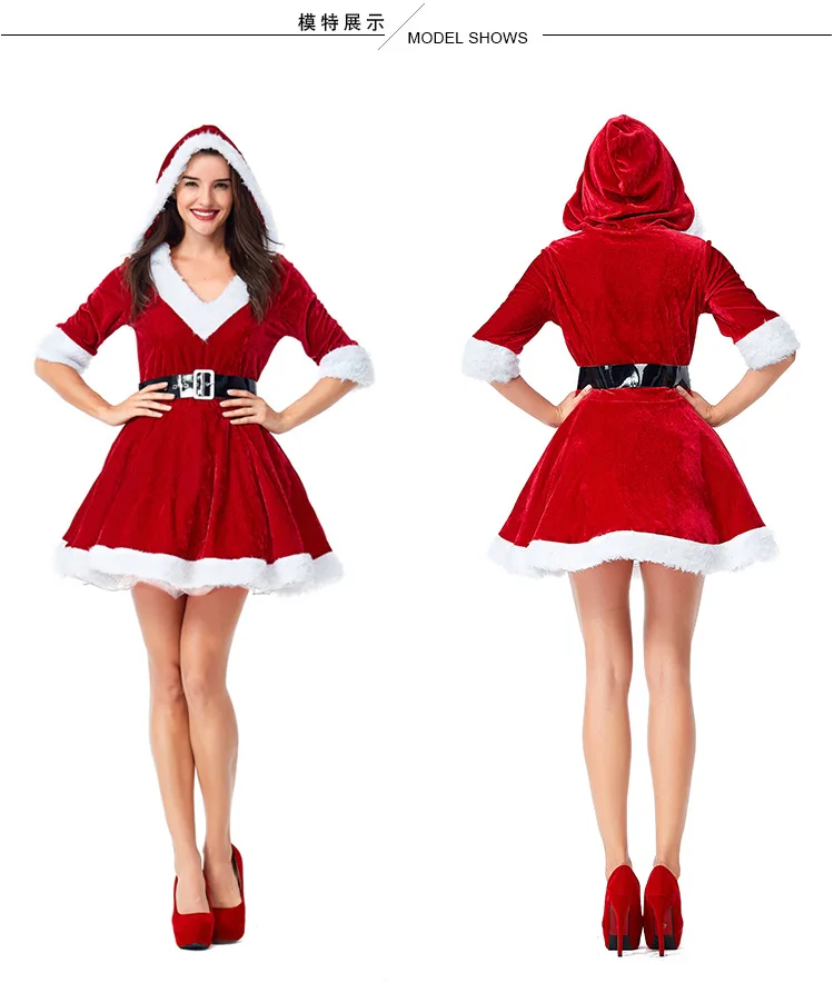 ladies santa costume