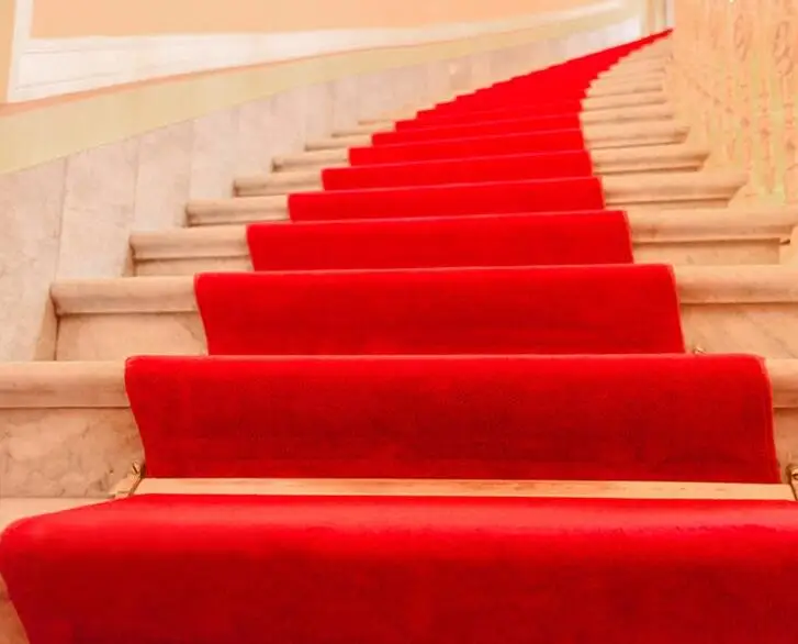 Red Carpet One-off Marriage Red Carpet Celebration Opening Wedding Customized Door Stairs Slip-proof and Thicker