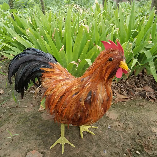 large-48x32cm-feathers-cock-chicken-mode