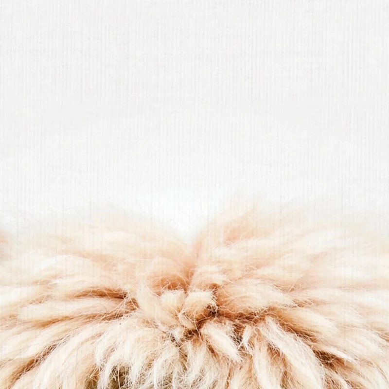 Sylvie-Alpaca-Bangs-Animal-Print-Framed-Canvas-Art-by-Amy-Peterson-N-A-060bd007-0a0c-453b-89bf-8d5a0c98d1d3.webp