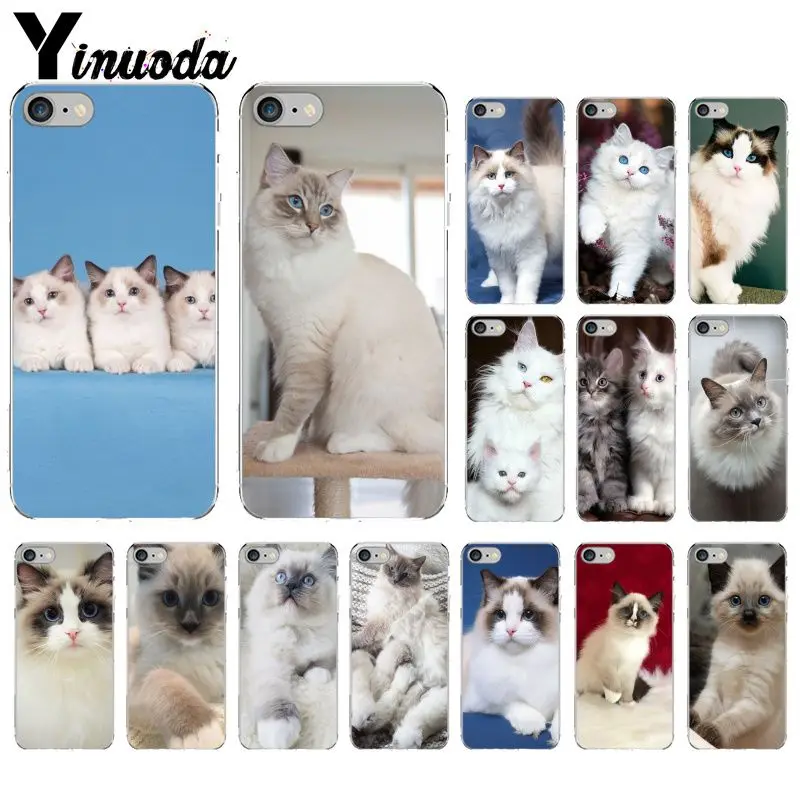 

Yinuoda Pet cat ragdoll Novelty Fundas Phone Case Cover for Apple iPhone 8 7 6 6S Plus X XS MAX 5 5S SE XR Mobile Cover
