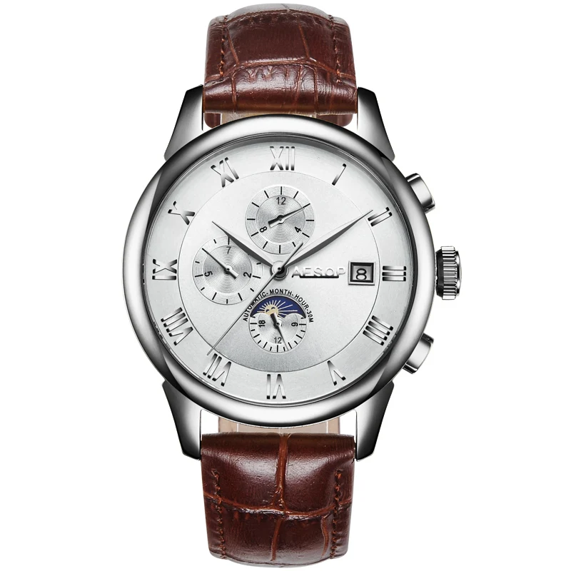 AESOP часы мужские брендовые автоматические механические часы черные кожаные мужские наручные часы Мужские часы Relogio Masculino