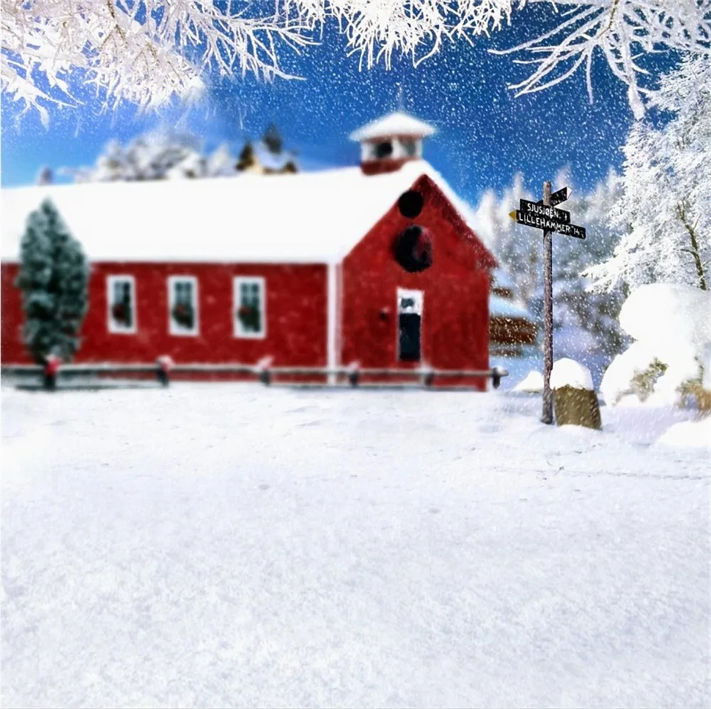 Laeacco Winter Snow Road Sigh Bokeh Rural House Scene Photography Backgrounds Customized Photographic Backdrops For Photo Studio |