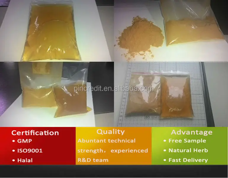 Organic Chia Seeds/Chia Seeds/Chia Seed Extract Powder