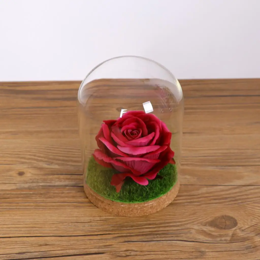 Glass Dome Cover Cloche Bell Jar Succulents Terrariums with Wood Cork Wedding Parties Decorations Miniatures Craft