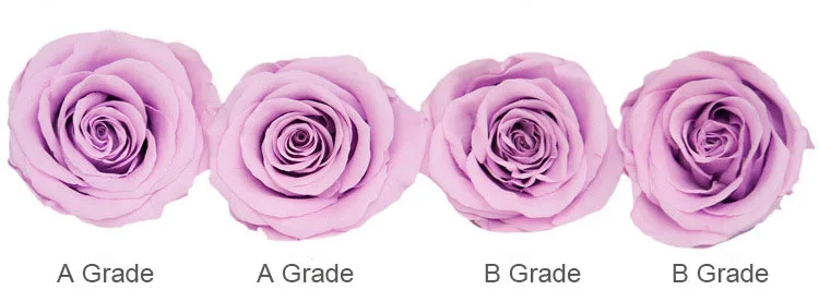 rose eternal flower Presevrved flower (15)