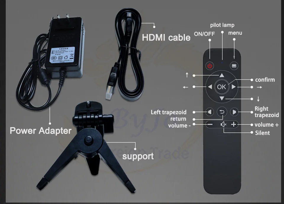 DLP100W2_21