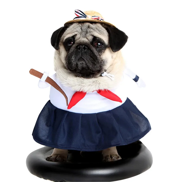 Dog Clothes (10)