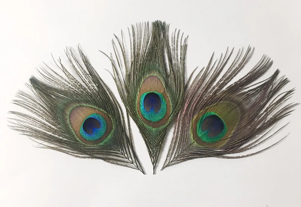 

20Pcs/Lot 12-16cm size Brand new wholesale Nature Peacock Feather Eyes Blue Peacock Eye -Fly Tying Material