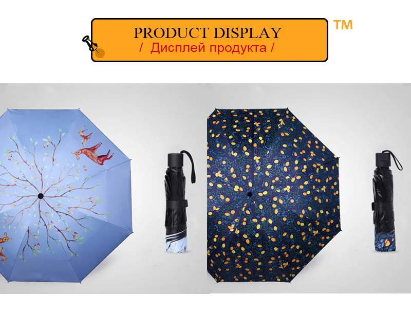 Guarda Chuva Masculino (4)
