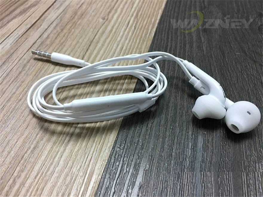 S6 erji---1