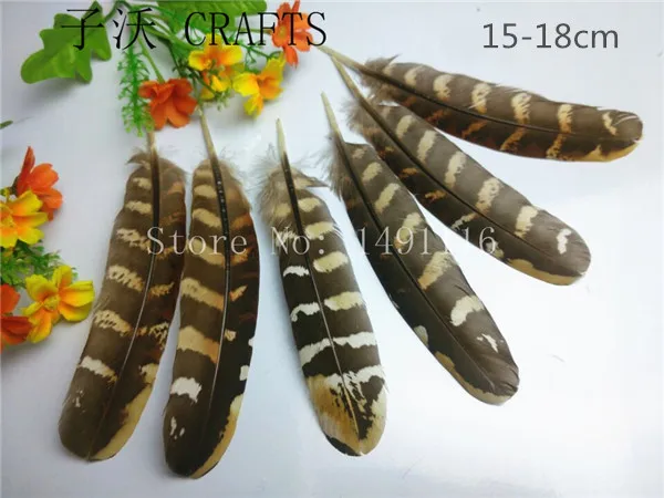 Разнообразие птиц! 10/20/100/500 шт./упаковка натуральные фазаньи|natural pheasant feathers|pheasant