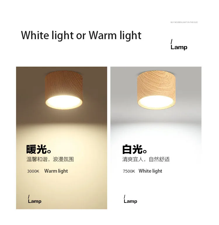 5__9550277161_1387152622