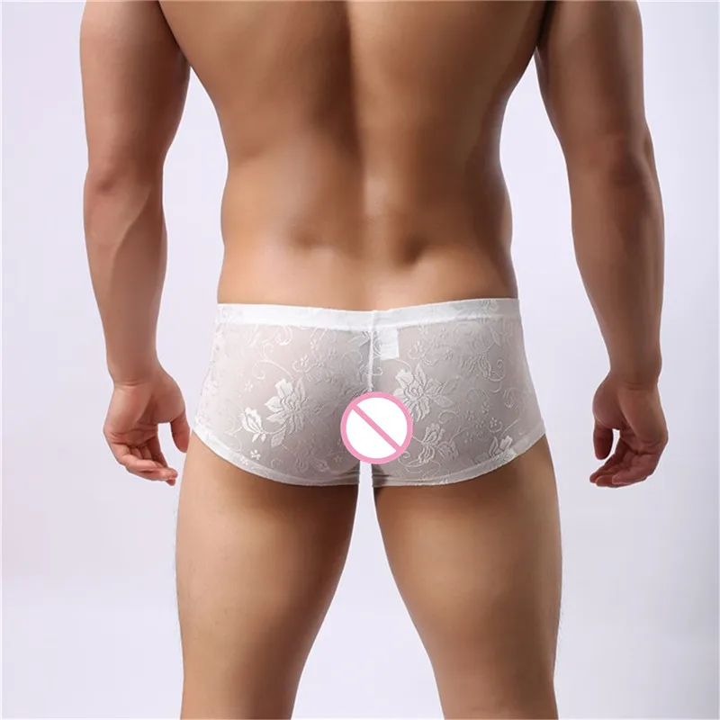 LS504 white-3