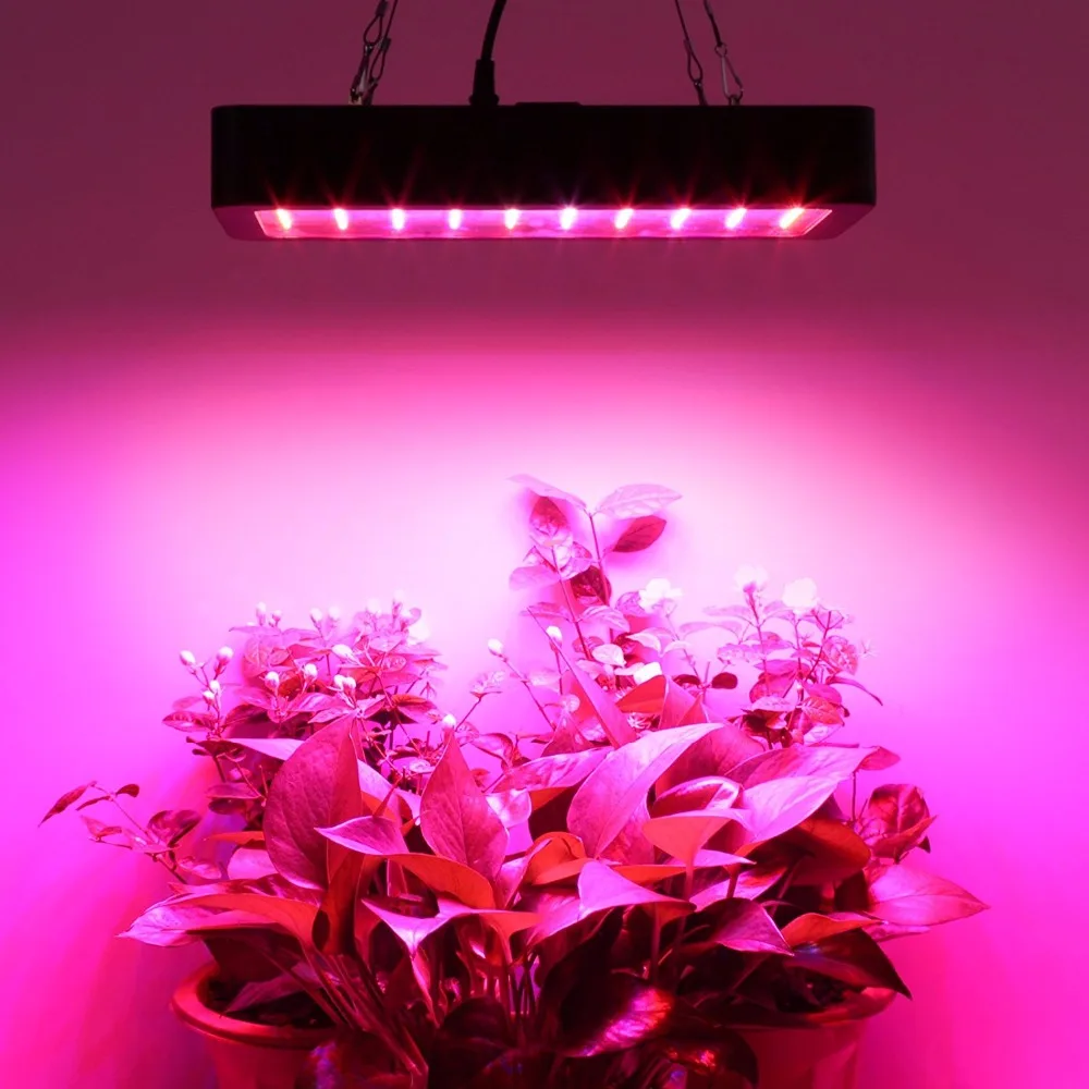 

Dimmable 300w Ledpopulargrow Grow Light 9 Band Full Spectrum lamp for All Stage of Indoor greenhouse commercial Plant veg flower