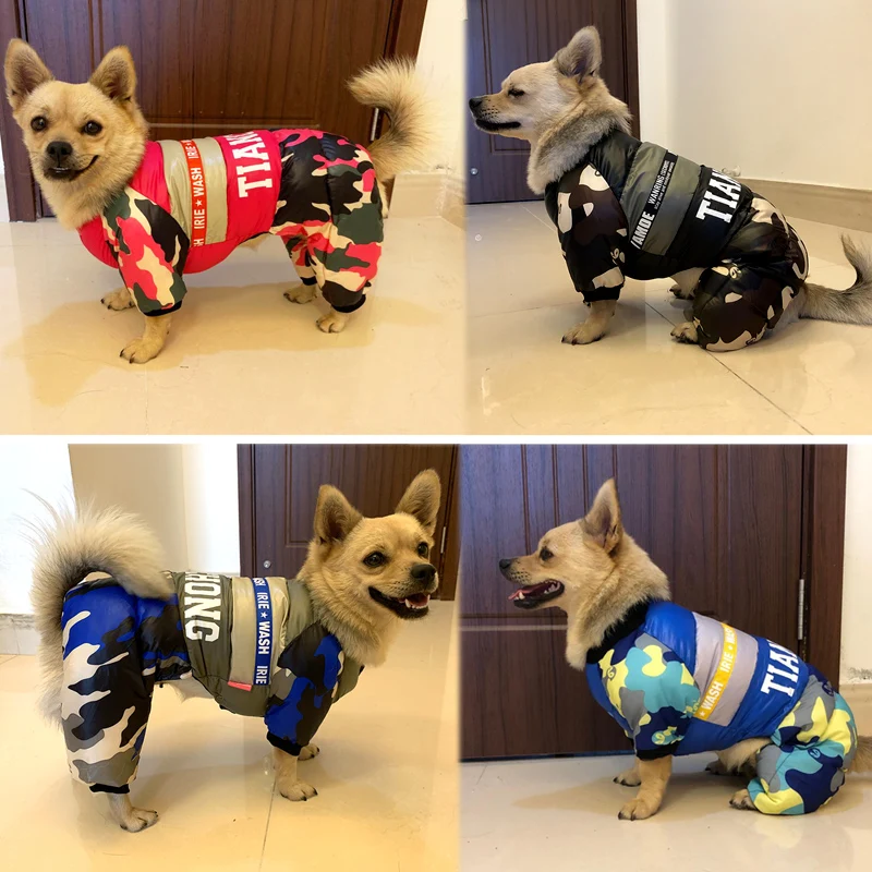 Beste Hond Winter Kleding Jas Honden Huisdieren Kleding Katoen Mode Jassen Huisdier Jas Outfits Voor Franse Bulldog Chihuahua Kleine Puppy Pak