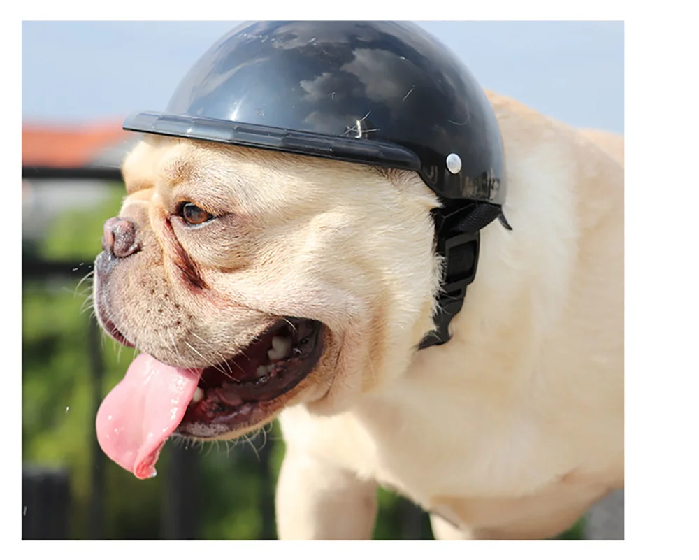 Dog Helmet and Goggles Kit