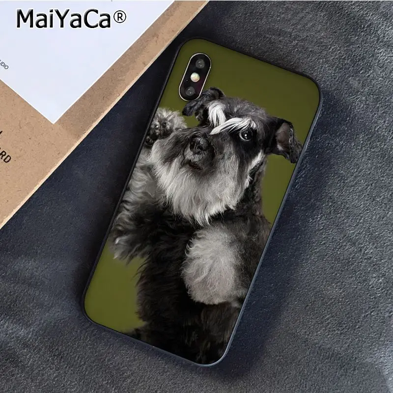 Schnauzer Puppy dog Art