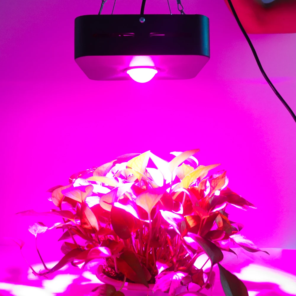 150 W 300 W COB полный спектр светодиодный светать с объективом для помещение медицина растения овощей и цветок в тепличная палатка