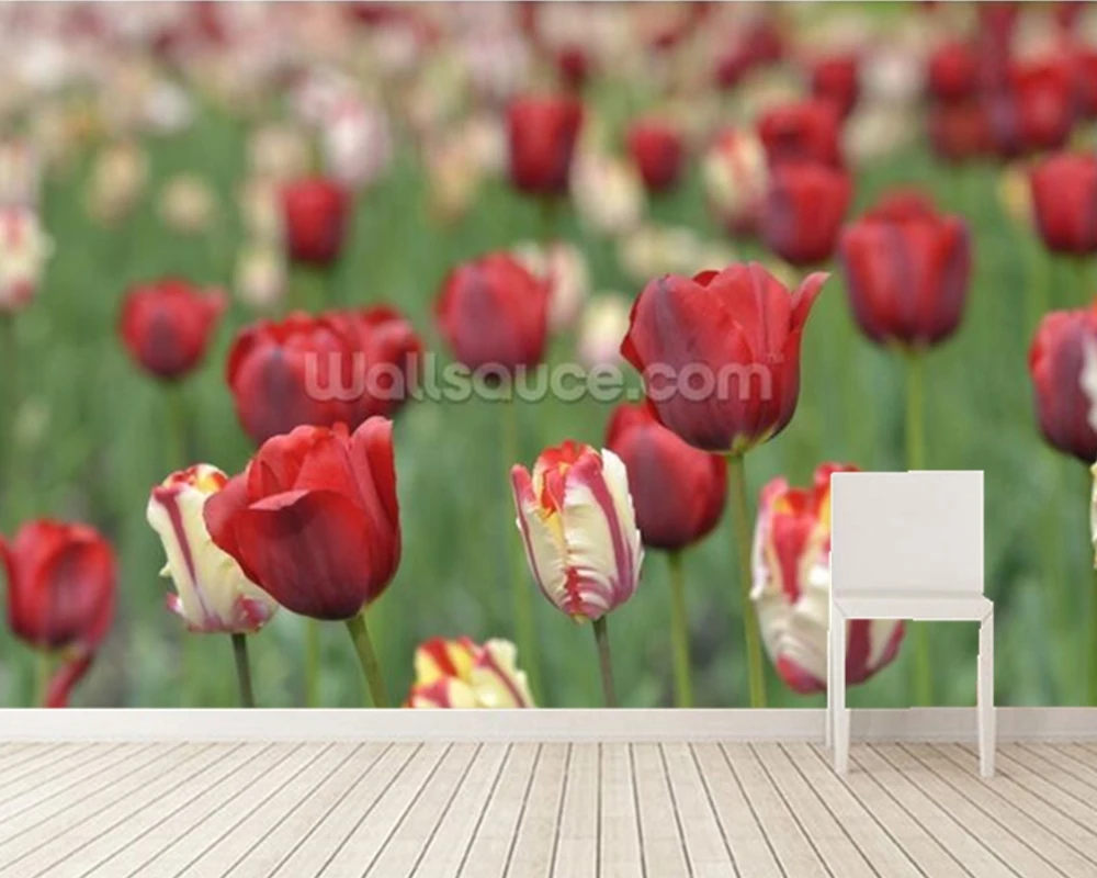 Unduh 6000+ Wallpaper Bunga Alami HD Gratis Unduh 6000+ Wallpaper Bunga Alami HD Gratis
