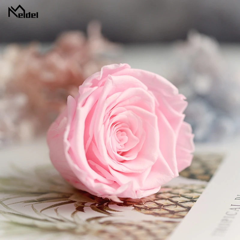 Консервированные Розы 5 6 см класса А красота и чудовище Forever Rose Eternelle для подарка