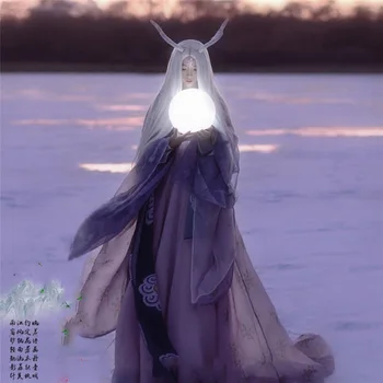 

Jiao Zhu Zhuan Dragon Princess Women's Hanfu Costume Photo House Thematic Photography Costume Cosplay Hanfu Dragon Ball