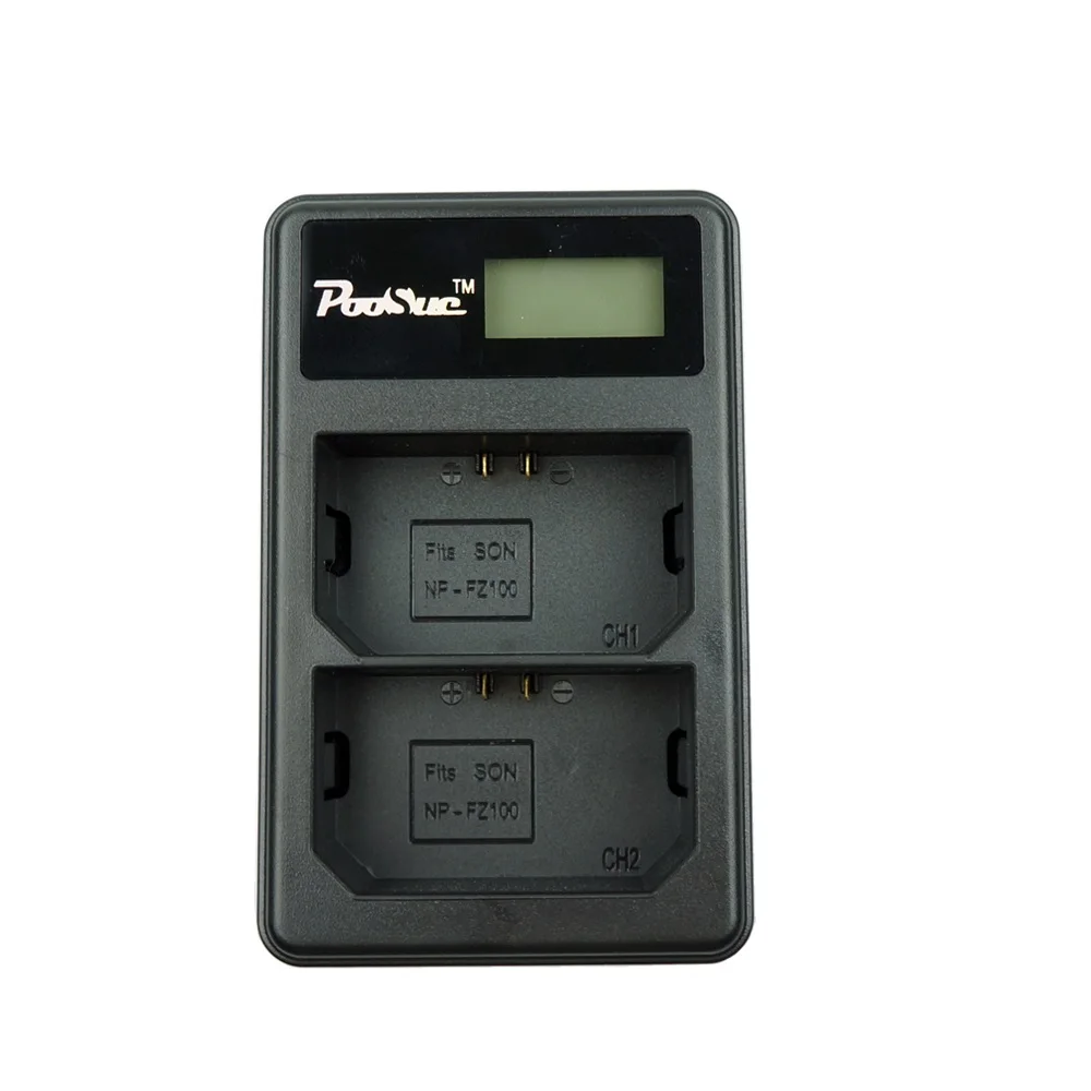 FZ100 LCD2