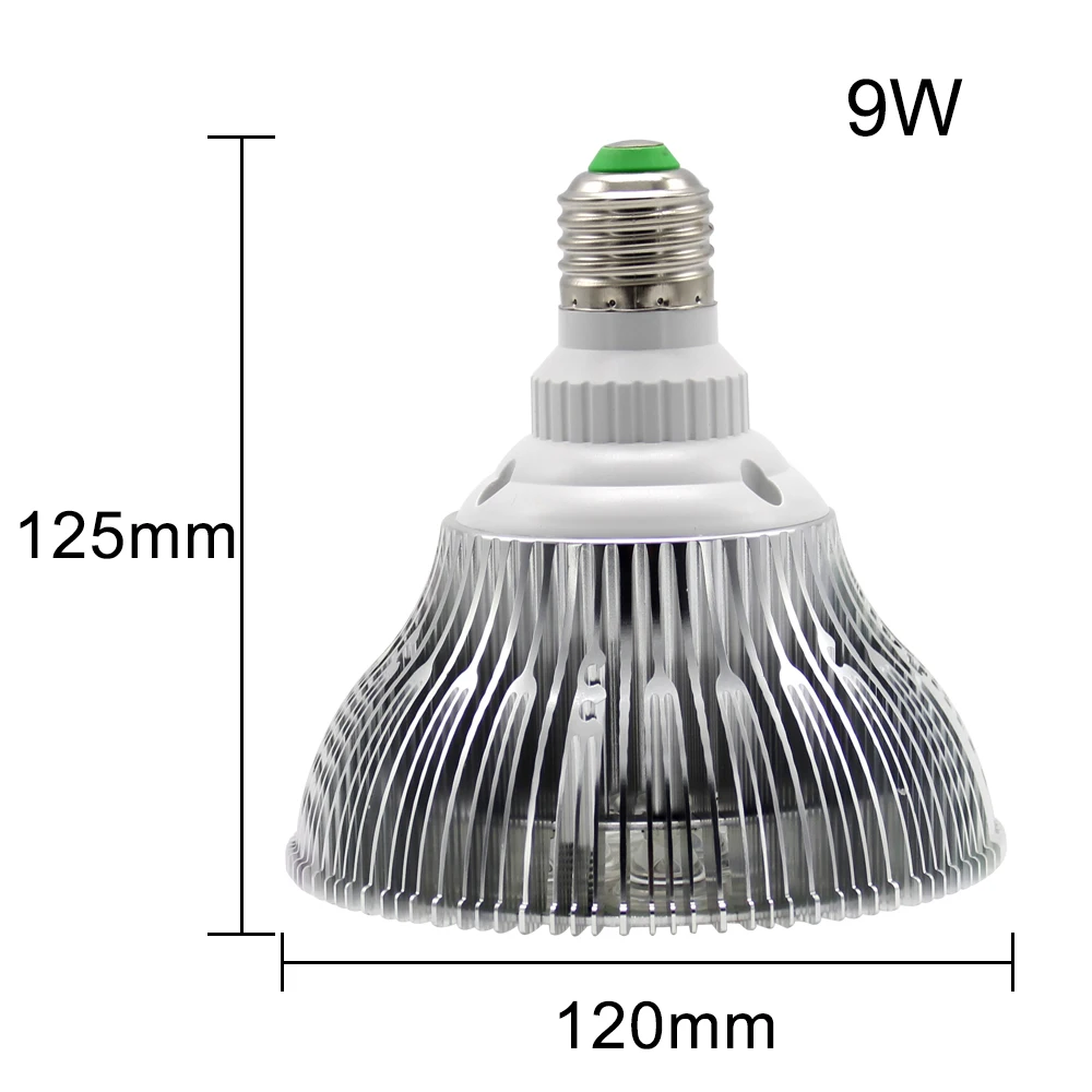 18W_A-PARD_Size_Market