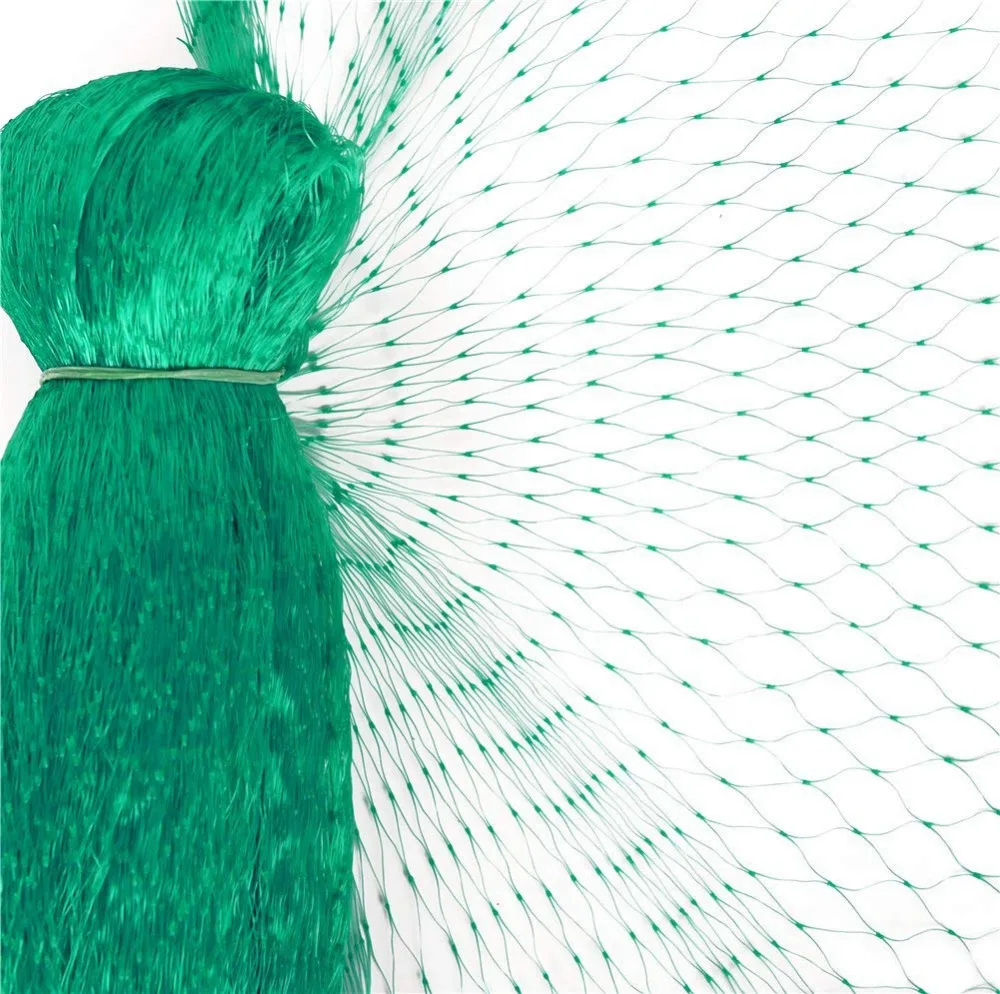 71y6p5sMAxL._SL1001_