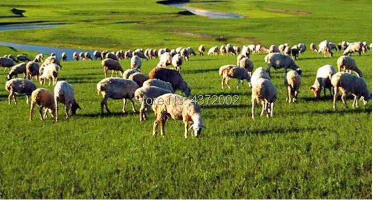 Cheap Cartões de controle de acesso