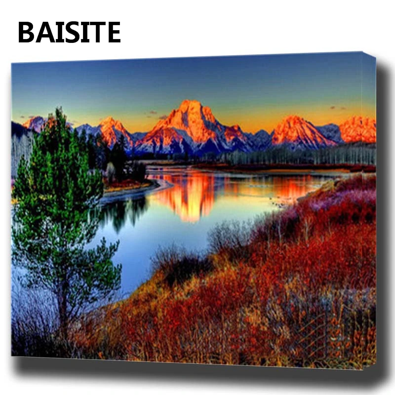 

BAISITE DIY Framed Oil Painting By Numbers Animal Pictures Canvas Painting For Living Room Wall Art Home Decor